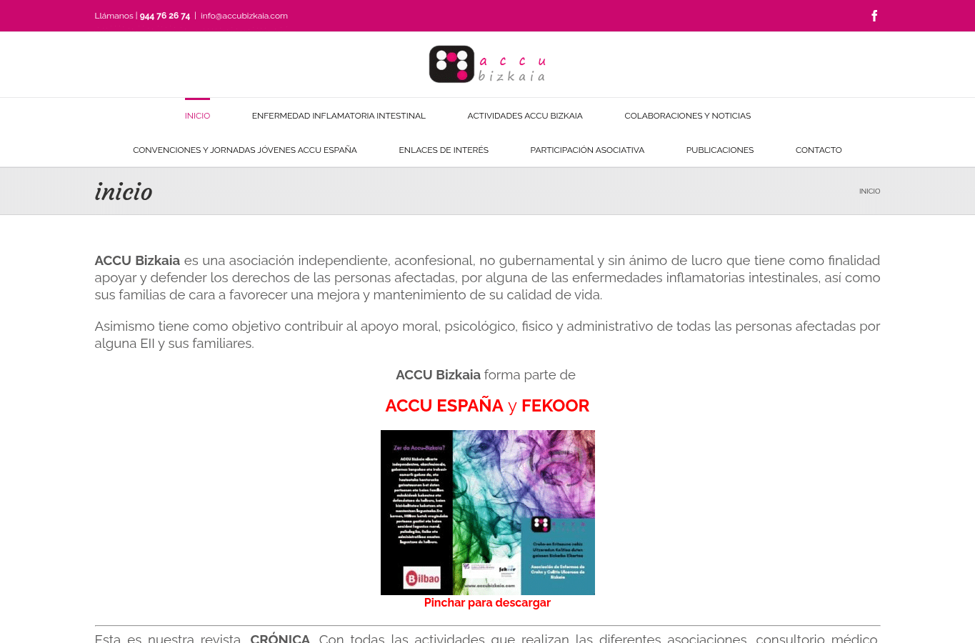Capture d'écran de accubizkaia.com
