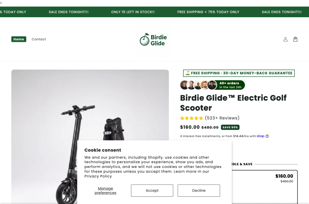 Capture d'écran de birdieglide.com