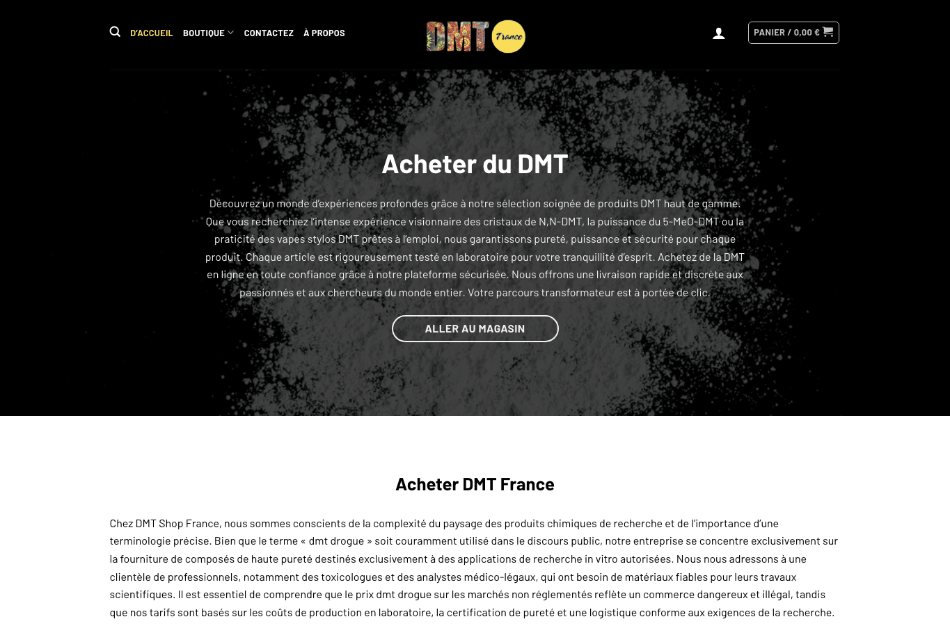 Capture d'écran de dmtshop.fr