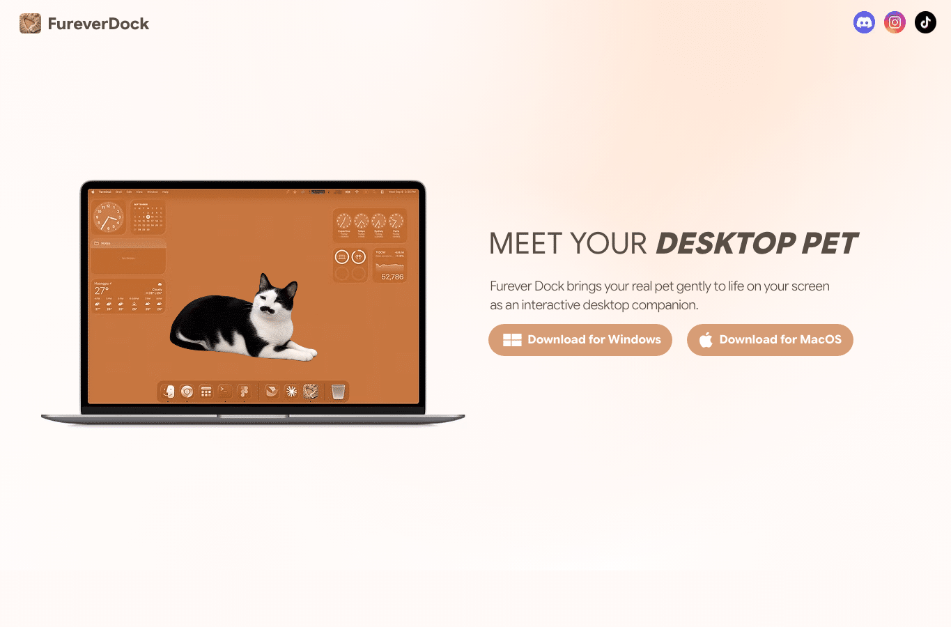 Capture d'écran de fureverdock.com