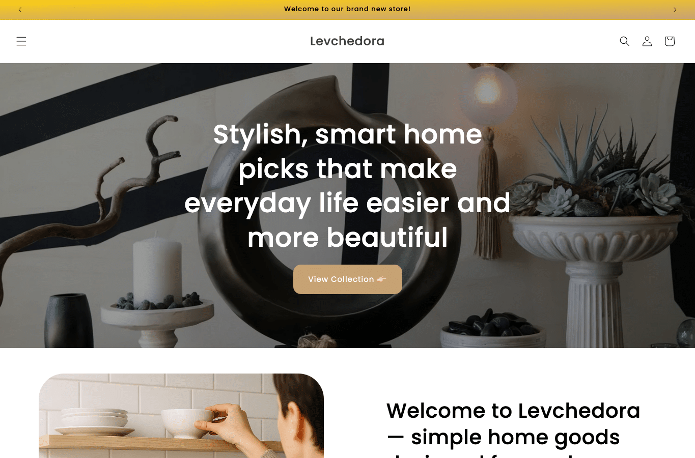 Capture d'écran de levchedora.com