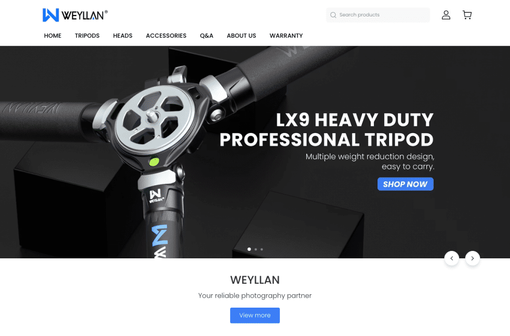 Capture d'écran de weyllan.com