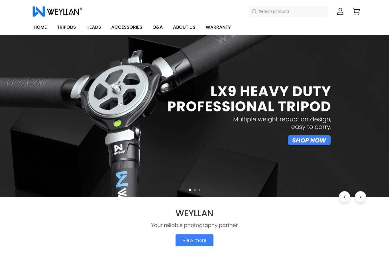 Capture d'écran de weyllan.com