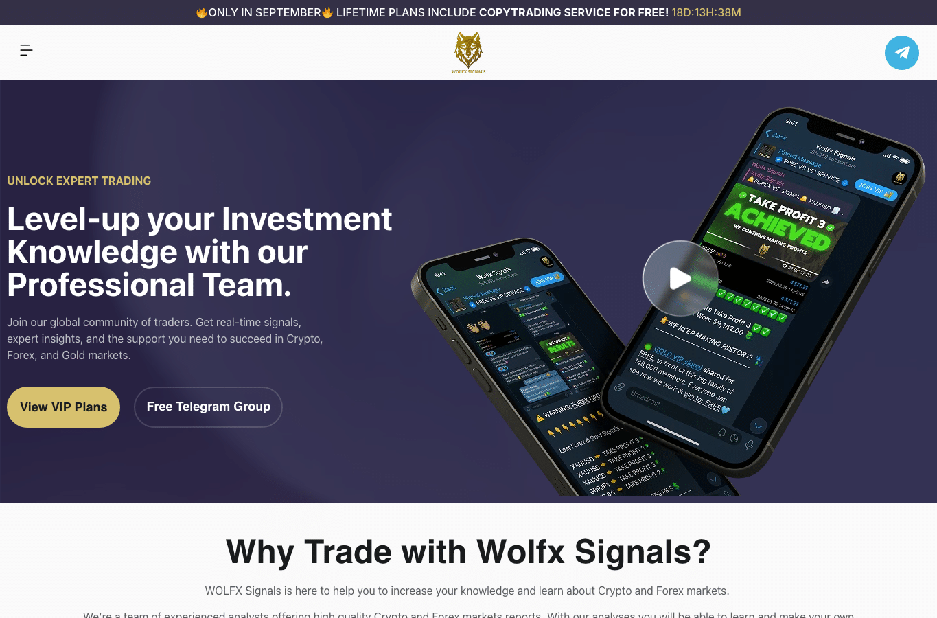 Capture d'écran de wolfxsignals.com