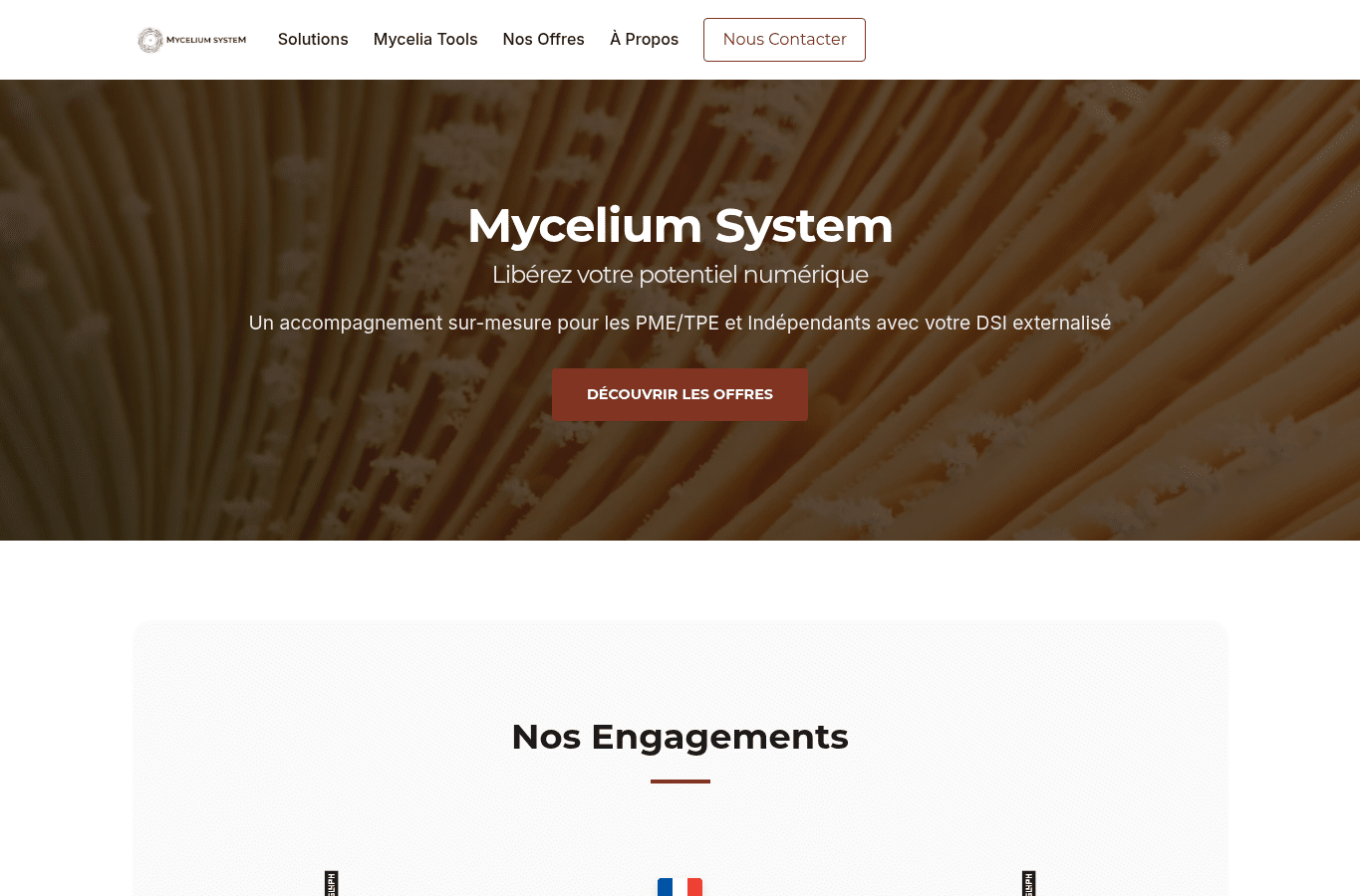 Capture d'écran de myceliumsystem.fr