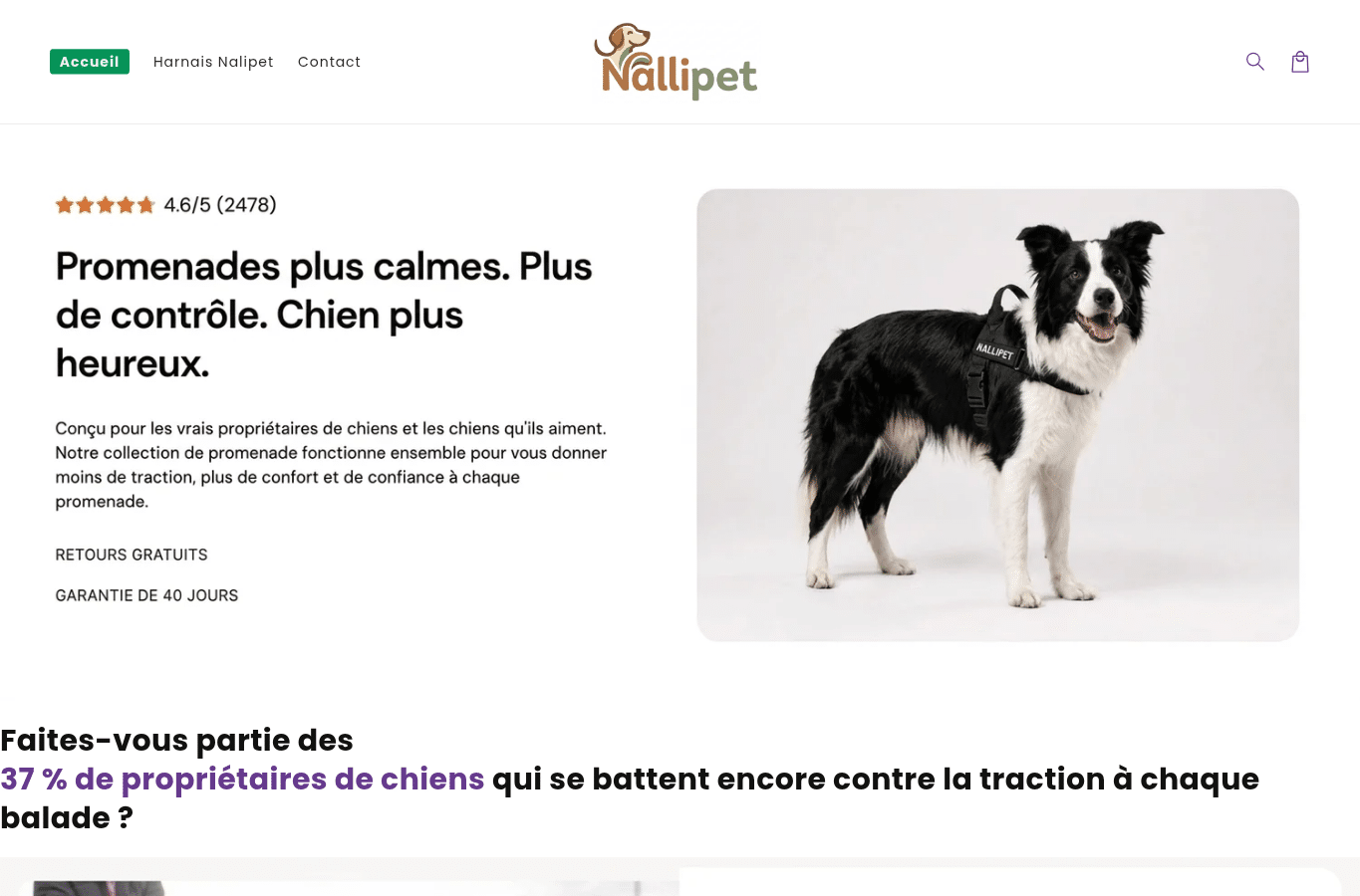 Capture d'écran de nallipet.com
